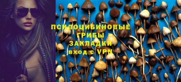 молекула духа Алзамай